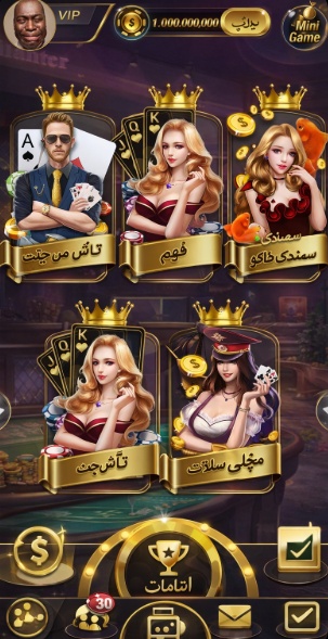Bingo Village game